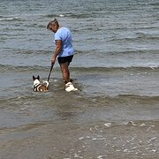 House Sitter - Bob & Deb