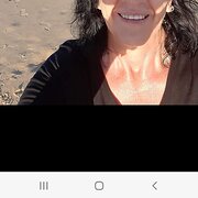 House Sitter - Onthemove