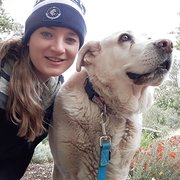 House Sitter - Pet Loving Social Work Student 