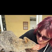 House Sitter - D T L