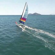 House Sitter - John A