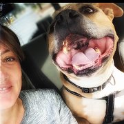 House Sitter - Ex Vet Nurse with Wealth of Experience