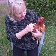 House Sitter - Barb and david