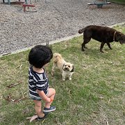 House Sitter - Emily 