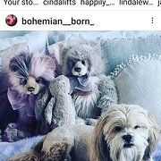 House Sitter - Friendly Animal lovers