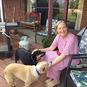 House Sitter - Lorraine