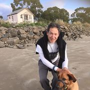 House Sitter - Dog/cat minding around Hobart