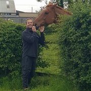 House Sitter - Mindful Peeps