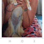 House Sitter - Only The Best