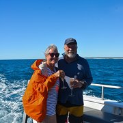 House Sitter - Ready and Willing