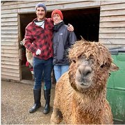 House Sitter - House Buddies