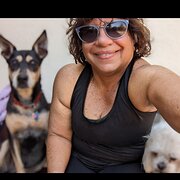 House Sitter - Cuddle Crew