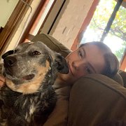 House Sitter - Responsible house sitter