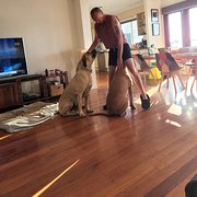 House Sitter - Russel and Julie