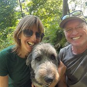 House Sitter - Semi retired professional couple