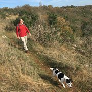 House Sitter - Reliable and trustworthy couple 