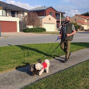 House Sitter - Pet Whisperer - reliable and secure