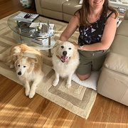 House Sitter - Happy days ahead 