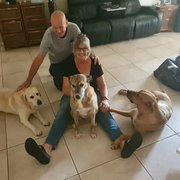 House Sitter - GK. Artwrite