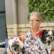 House Sitter - Experienced Housesitters