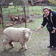 House Sitter - Reliable, experienced house sitters 