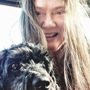 House Sitter - Enjoy your trip with peace of mind.