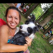 House Sitter - Trustworthy pet lover