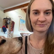 House Sitter - Happy to Housesit/Petsit ! :)