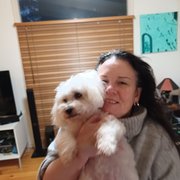 House Sitter - Professional Pats 