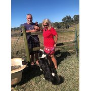 House Sitter - Trustworthy Grey Nomads, Profile No 1n96