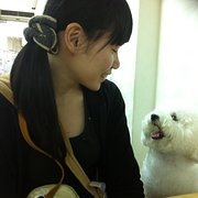 House Sitter - Max, the pets lover!