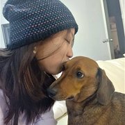 House Sitter - Clean, respectful, mature