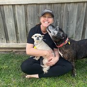 House Sitter - Rachel