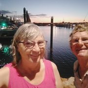 House Sitter - Elven