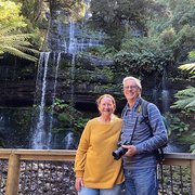 House Sitter - Wanderers