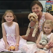 House Sitter - Jaffa64