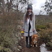 House Sitter - Travelling, animal loving couple