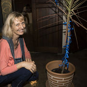 House Sitter - Caring and Kind