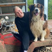 House Sitter - Enthusiastic, Loyal House & Pet Sitter