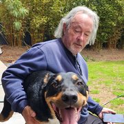 House Sitter - Mr GB