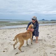 House Sitter - experienced house and pet sitter