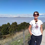 House Sitter - Montifmor