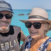 House Sitter - Living Life