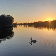 House Sitter - Available from December 2025 WA only