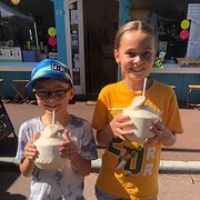 House Sitter - 37 year old male professional