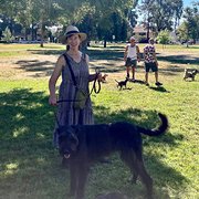 House Sitter - Calm, experienced house and pet minder