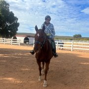 House Sitter - Ms NFA