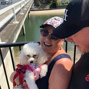 House Sitter - Your furries’ babysitters