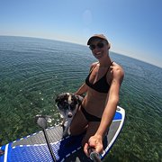 House Sitter - Sal- Travelling Aus with my Bordercollie