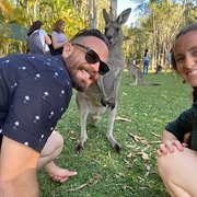 House Sitter - Casa Caretaker